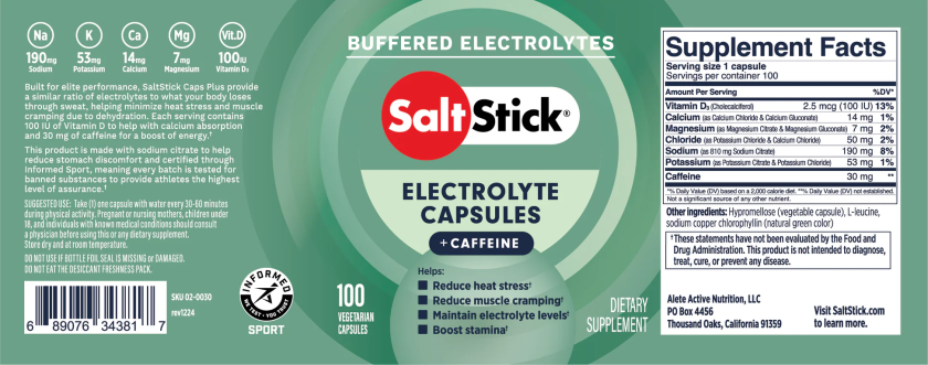 SALTSTICK_100ct_CAPS__122024_Flat_0425