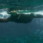 SN56TTCC_02_ORCA_ATHLEX_FLOAT_WOMEN_TRIATHLON_WETSUIT